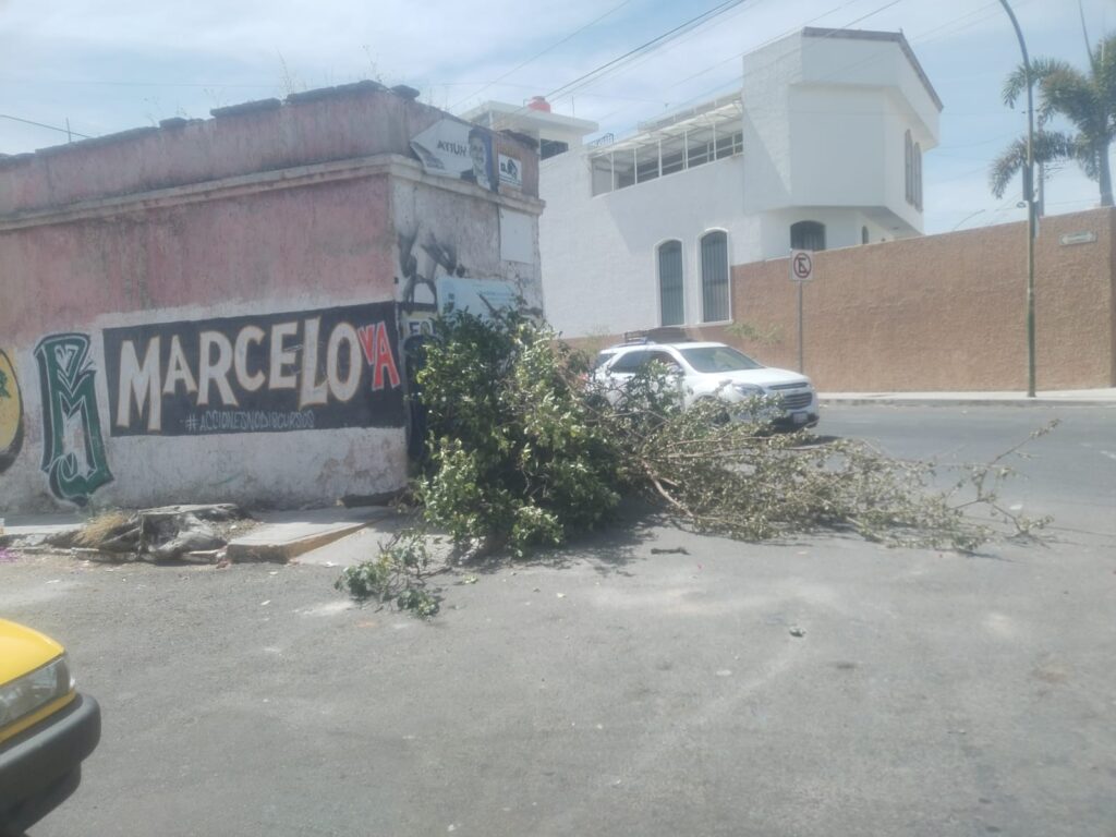 Detenido por tirar basura - ZMG Noticias