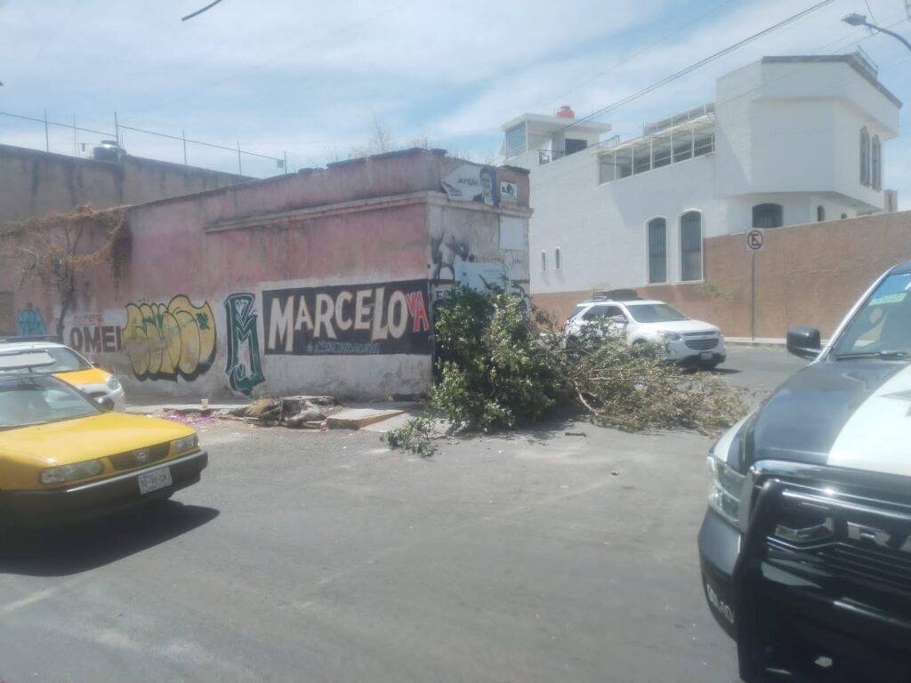 Detenido por tirar basura - ZMG Noticias