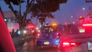 Automovilista muere al chocar contra un árbol - ZMG Noticias