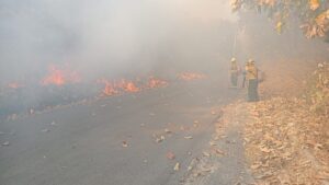 Se registró otro incendio en el paraje Palo Gordo de Zapopan - ZMG Noticias