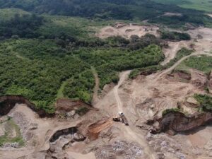 Suman cuatro detenidos por ecocidio en Tala - ZMG Noticias Suman cuatro detenidos por ecocidio en Tala - ZMG Noticias