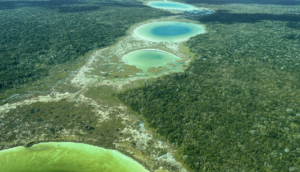 Tren Maya: un sueño que pronto se volverá realidad, dice AMLO - ZMG Noticias