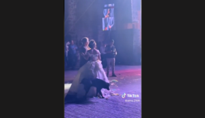 Travesura de un perrito hace viral una celebración de XV años - ZMG Noticias