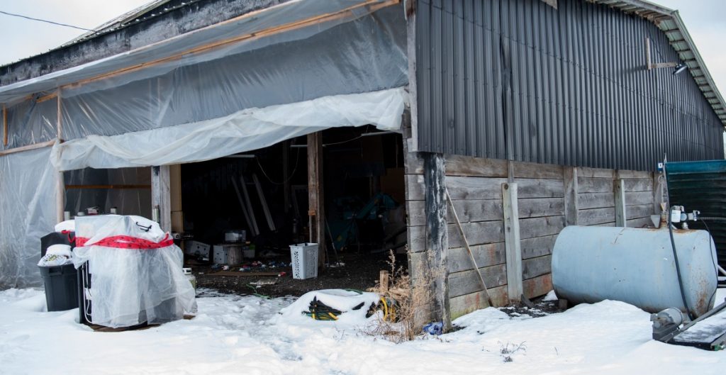 Rescatan a 64 trabajadores mexicanos en Canadá; eran explotados por una red traficante - ZMG Noticias