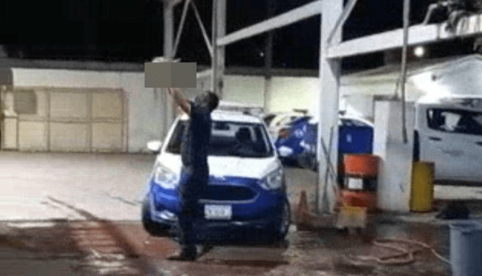 La FGEC iniciará investigaciones por caso de crueldad animal en Monclova - ZMG Noticias