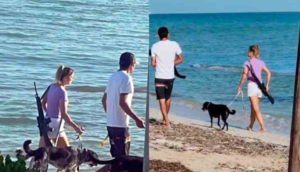 Causa alarma pareja que pasea a su perro con un rifle en playa de Yucatán - ZMG Noticias