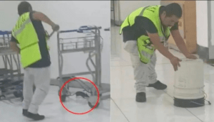 VIDEO: ¡Rata provoca caos en el AICM! - ZMG Noticias