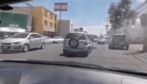 Mujer que abandona a dos perritos en la vía pública de Guadalajara provoca indignación - ZMG Noticias