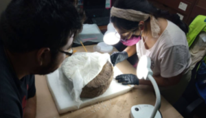 Encuentran importante pieza prehispánica en Chichén Itzá - ZMG Noticias