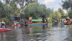 Tras video viral de pelea en trajineras de Xochimilco, investigarán irregularidades - ZMG Noticias