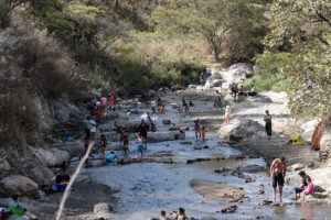 Unirán esfuerzos para defender de incendios el área natural protegida del Bosque de La Primavera - ZMG Noticias