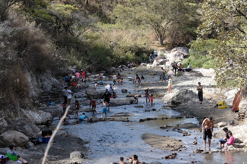 Unirán esfuerzos para defender de incendios el área natural protegida del Bosque de La Primavera - ZMG Noticias Unirán esfuerzos para defender de incendios el área natural protegida del Bosque de La Primavera - ZMG Noticias