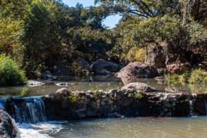 Ofrece Zapopan recorridos turísticos gratuitos durante vacaciones de Semana Santa y Pascua - ZMG Noticias