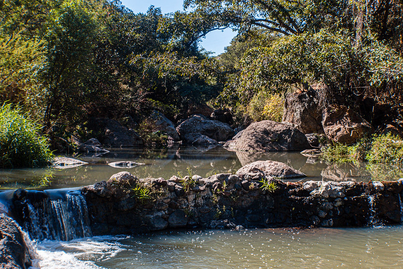 Ofrece Zapopan recorridos turísticos gratuitos durante vacaciones de Semana Santa y Pascua - ZMG Noticias Ofrece Zapopan recorridos turísticos gratuitos durante vacaciones de Semana Santa y Pascua - ZMG Noticias