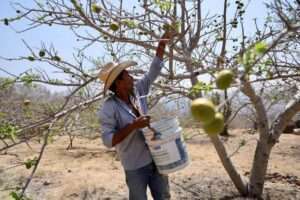 No puede existir un campo rico con campesinos pobres, insiste gobernador Enrique Alfaro - ZMG Noticias