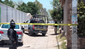 “Muy lamentable”, dice AMLO sobre asesinato de madre buscadora en Guanajuato - ZMG Noticias