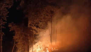 Semadet activa alerta atmosférica en dos municipios por incendio forestal - ZMG Noticias