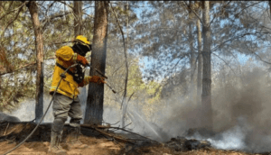 10 municipios de Jalisco con alerta atmosférica por incendios forestales - ZMG Noticias