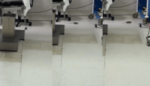 Viral: Graban una rata en un quirófano del ISSSTE