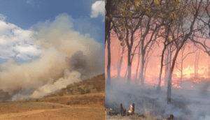 Semadet activa alerta atmosférica en Guadalajara, Zapopan, Tlaquepaque y El Arenal