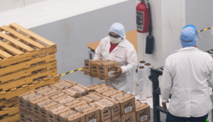 Jalisco, líder en Nearshoring en México