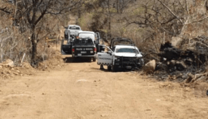 Extraen más de 100 bolsas con restos humanos de fosa clandestina en Tlajomulco