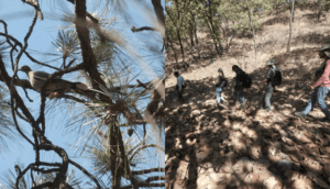 Realizan recorrido de observación de aves del bosque La Primavera