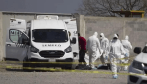 Infracción vial deja al descubierto siete cadáveres en una camioneta en Tijuana - ZMG Noticias