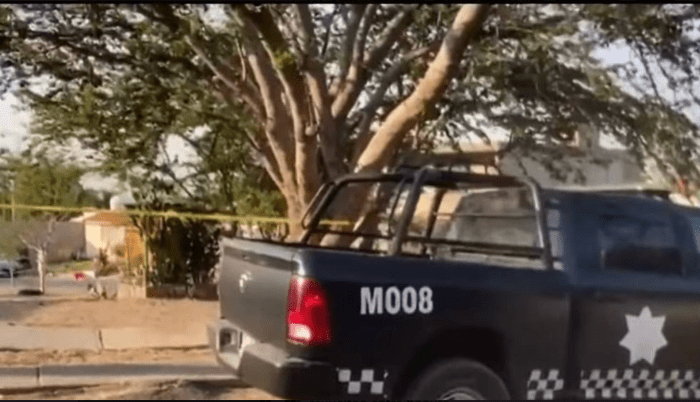 Personal de limpieza localiza restos humanos durante labores en Santa Ana Tepetitlán - ZMG Noticias