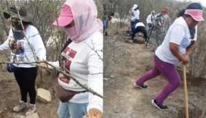 Colectivo de Madres Buscadoras de Jalisco