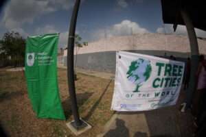 Vecinos de Brisas del Nilo participan en reforestación de parque - ZMG Noticias