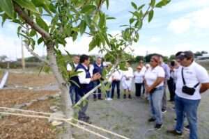 Nuevo bosque urbano en Tlaquepaque, Arboretum Ficus - ZMG Noticias