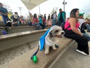 Realizan Feria Perrona para festejar al mejor amigo del hombre - ZMG Noticias