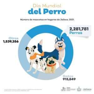 Más de 2 millones de hogares en Jalisco tienen un perro - ZMG Noticias