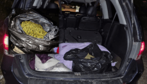 Autoridades aseguran vehículo con 30 kilos de marihuana en Zapopan