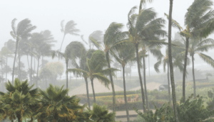 Se pronostican lluvias en prácticamente todo el territorio nacional; 23 estados experimentarán precipitaciones