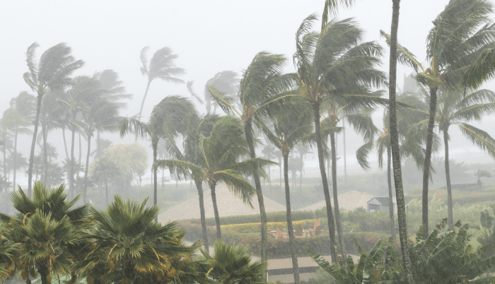 Se pronostican lluvias en prácticamente todo el territorio nacional; 23 estados experimentarán precipitaciones