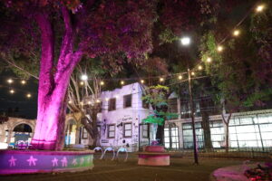 A disfrutar el comercio y la cultura en el centro de Zapopan - ZMG Noticias