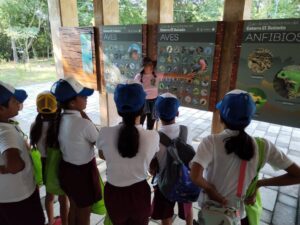 Estudiantes de primaria de Vallarta serán sus guardianes del patrimonio turístico - ZMG Noticias