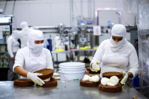 Van 55 mil 784 empleos generados en Jalisco durante 2023 - ZMG Noticias