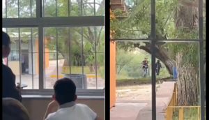 Sicarios se meten a una secundaria durante enfrentamiento en Zacatecas