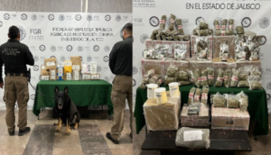 Aseguran importante cantidad de drogas en empresa de paquetería en Guadalajara