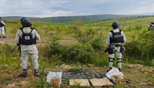 Guardia Nacional asegura más de 6,300 cartuchos útiles en Jalisco