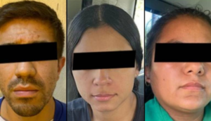 Invernadero clandestino de marihuana en Tonalá