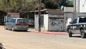 Familia y sus perros hallados sin vida en auto por intoxicación en Sonora