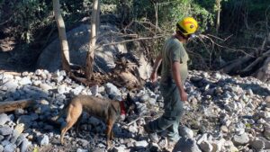 Emergencia en Autlán: 7 personas fallecidas, 3 desaparecidas y 168 elementos apoyando a los afectados - ZMG Noticias