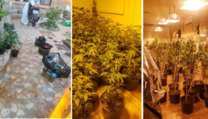 Vinculan a proceso a tres personas por posesión de drogas en Tonalá