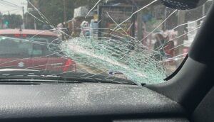 Agreden a elementos de Protección Animal de Zapopan  - ZMG Noticias