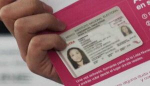 Asi se puede tramitar la INE en el extranjero - ZMG Noticias