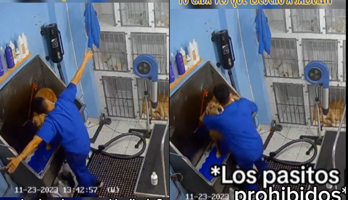 VIRAL: Empleado de veterinaria es captado bailando con perrito